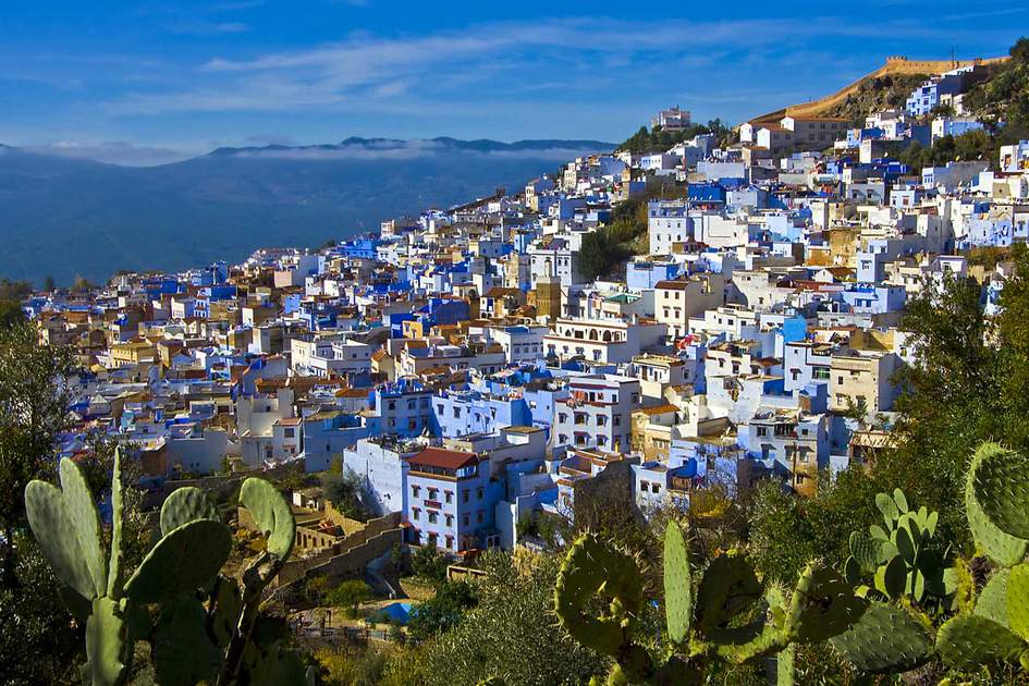 A bright city on a hill with colorful blue, white, and yellow buildings. Vegetation and cacti are in the foreground.