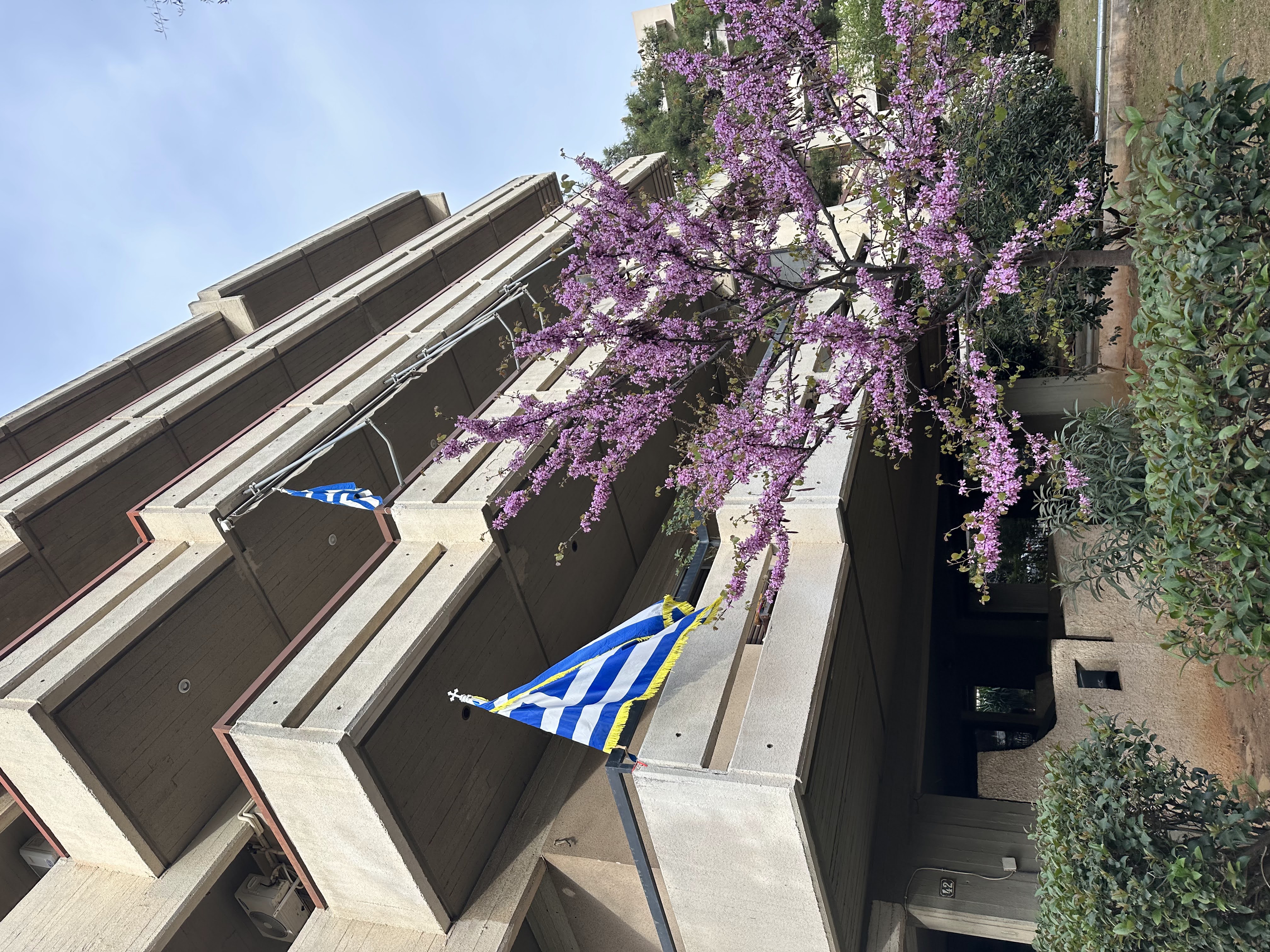 This image has been removed. For security reasons, only images from the local domain are allowed. Image removed.